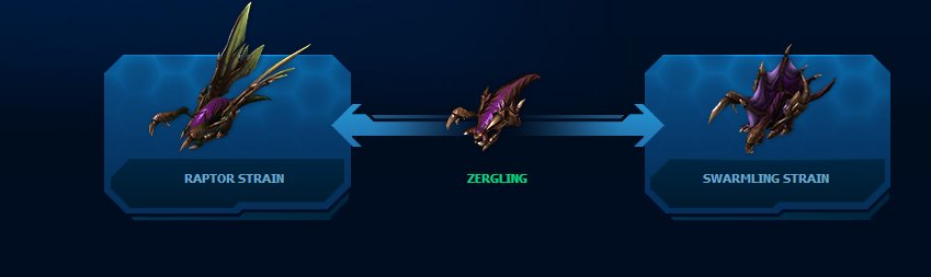 Image displaying the choice between the Raptor and Swarmling strains of Zergling