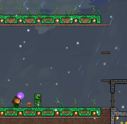 My Tree Farm